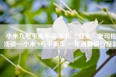 小米九号平衡车说明书(“安全”老司机浅谈—小米 9号平衡车 一年通勤骑行经验！)