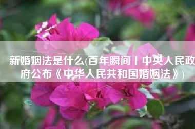 新婚姻法是什么(百年瞬间丨中央人民政府公布《中华人民共和国婚姻法》)