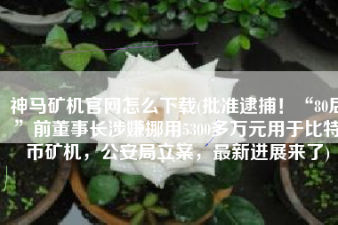 神马矿机官网怎么下载(批准逮捕！“80后”前董事长涉嫌挪用5300多万元用于比特币矿机，公安局立案，最新进展来了)