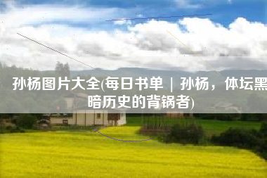 孙杨图片大全(每日书单 | 孙杨，体坛黑暗历史的背锅者)