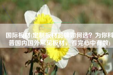 国际板材(定制板材品牌如何选？为你科普国内国外常见板材，看完心中有数)