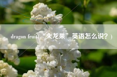 dragon fruit(“火龙果”英语怎么说？)