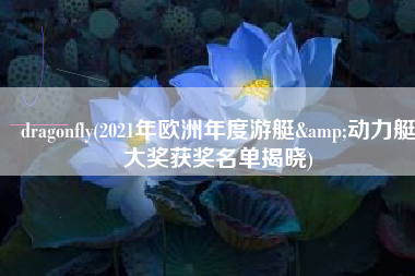 dragonfly(2021年欧洲年度游艇&动力艇大奖获奖名单揭晓)