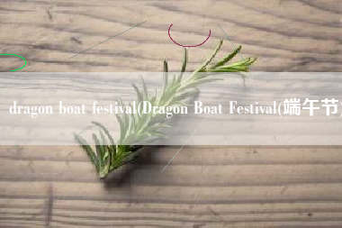 dragon boat festival(Dragon Boat Festival(端午节))