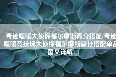 奇迹暖暖大侦探福尔摩斯高分搭配(奇迹暖暖竞技场大侦探福尔摩斯最佳搭配单品图文详解)