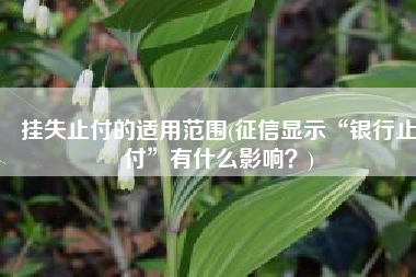 挂失止付的适用范围(征信显示“银行止付”有什么影响？)