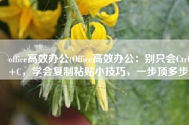 office高效办公(Office高效办公：别只会Ctrl+C，学会复制粘贴小技巧，一步顶多步)