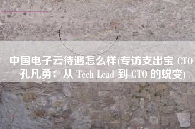 中国电子云待遇怎么样(专访支出宝 CTO 孔凡勇：从 Tech Lead 到 CTO 的蜕变)