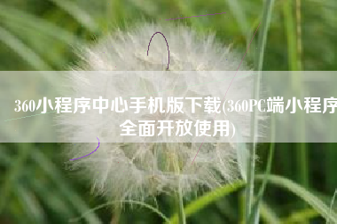 360小程序中心手机版下载(360PC端小程序全面开放使用)