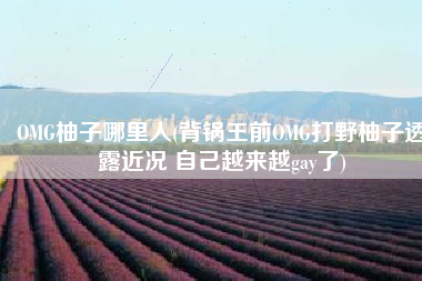 OMG柚子哪里人(背锅王前OMG打野柚子透露近况 自己越来越gay了)