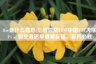 ftse是什么意思(三倍做空FTSE中国ETF大涨21%，做空者迟早要被反噬，哀兵必胜)