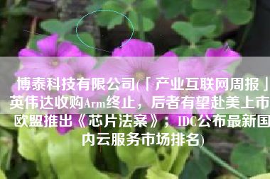博泰科技有限公司(「产业互联网周报」英伟达收购Arm终止，后者有望赴美上市；欧盟推出《芯片法案》；IDC公布最新国内云服务市场排名)