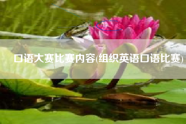 口语大赛比赛内容(组织英语口语比赛)
