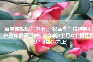 卓越游戏账号中心(“权益型”投连险账户去年最高亏39% 今年前4个月53个投连险账户收益均为正)
