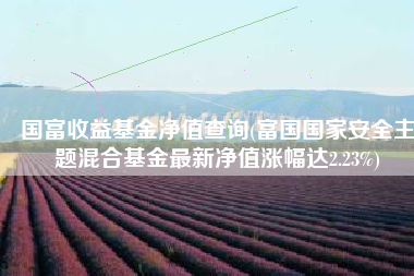 国富收益基金净值查询(富国国家安全主题混合基金最新净值涨幅达2.23%)