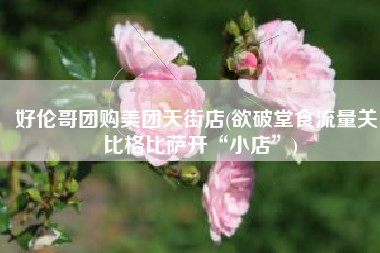 好伦哥团购美团天街店(欲破堂食流量关 比格比萨开“小店”)
