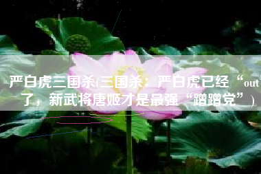 严白虎三国杀(三国杀：严白虎已经“out”了，新武将唐姬才是最强“蹭蹭党”)