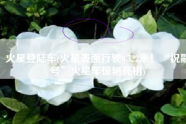 火星登陆车(火星表面行驶0.522米！“祝融号”火星车惊艳亮相)