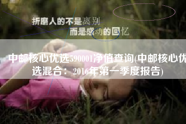 中邮核心优选590001净值查询(中邮核心优选混合：2016年第一季度报告)