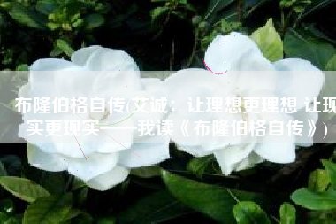 布隆伯格自传(艾诚：让理想更理想 让现实更现实——我读《布隆伯格自传》)