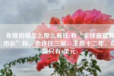 布隆伯格怎么那么有钱(有“全球最富有市长”称，他连任三届、主政十二年，年薪只有1美元)