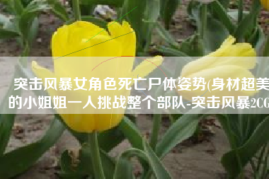 突击风暴女角色死亡尸体姿势(身材超美的小姐姐一人挑战整个部队-突击风暴2CG)