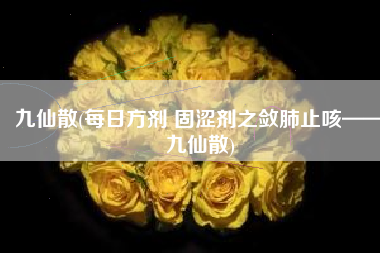 九仙散(每日方剂 固涩剂之敛肺止咳——九仙散)