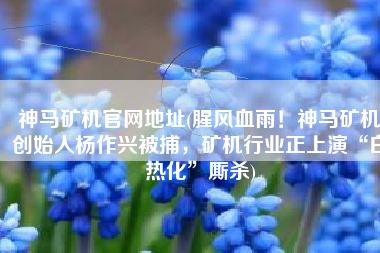 神马矿机官网地址(腥风血雨！神马矿机创始人杨作兴被捕，矿机行业正上演“白热化”厮杀)