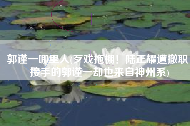 郭谨一哪里人(歹戏拖棚！陆正耀遭撤职，接手的郭谨一却也来自神州系)