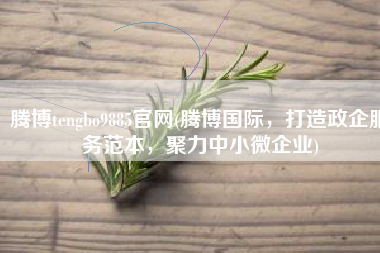 腾博tengbo9885官网(腾博国际，打造政企服务范本，聚力中小微企业)