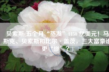 贝索斯(五个月“蒸发”1150 亿美元！马斯克、贝索斯和比尔·盖茨，三大富豪谁更“惨”？)