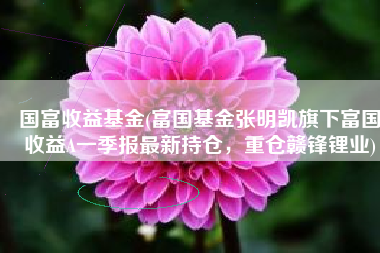 国富收益基金(富国基金张明凯旗下富国收益A一季报最新持仓，重仓赣锋锂业)