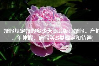 婚假规定婚假多少天(2022版：婚假、产假、年休假、病假等25类规定和待遇)