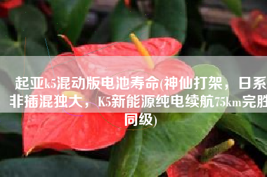 起亚k5混动版电池寿命(神仙打架，日系非插混独大，K5新能源纯电续航75km完胜同级)