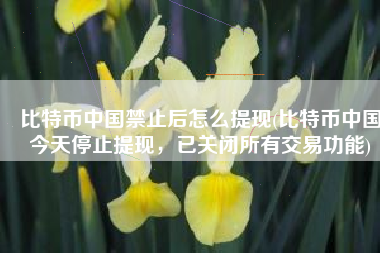 比特币中国禁止后怎么提现(比特币中国今天停止提现，已关闭所有交易功能)