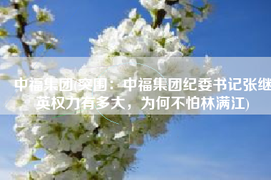 中福集团(突围：中福集团纪委书记张继英权力有多大，为何不怕林满江)