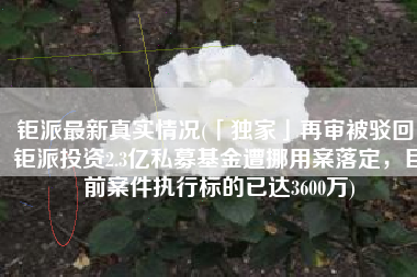 钜派最新真实情况(「独家」再审被驳回！钜派投资2.3亿私募基金遭挪用案落定，目前案件执行标的已达3600万)