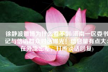 徐静波微博为什么看不到(济南一区委书记与信访群众对话曝光！信息量有点大：在外地出差，打断谈话回复)