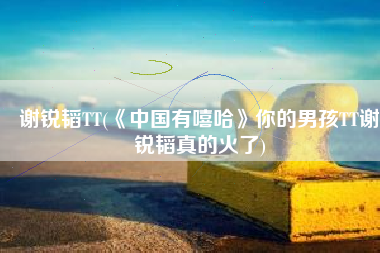 谢锐韬TT(《中国有嘻哈》你的男孩TT谢锐韬真的火了)