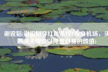 谢锐韬(谢锐韬穿红色条纹T现身机场，头戴渔夫帽难以掩盖自身的颜值)
