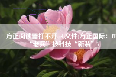 方正阅读器打不开ceb文件(方正国际：IT“老兵”披科技“新装”)