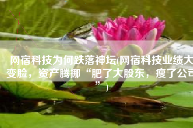 网宿科技为何跌落神坛(网宿科技业绩大变脸，资产腾挪“肥了大股东，瘦了公司”)