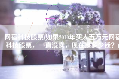 网宿科技股票(如果2010年买入五万元网宿科技股票，一直没卖，现在是多少钱？)