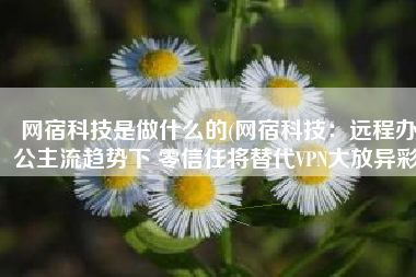 网宿科技是做什么的(网宿科技：远程办公主流趋势下 零信任将替代VPN大放异彩)