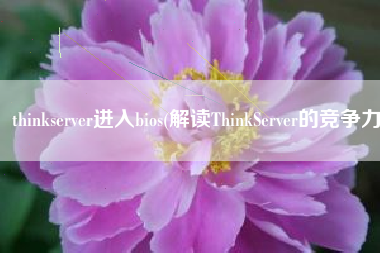 thinkserver进入bios(解读ThinkServer的竞争力)