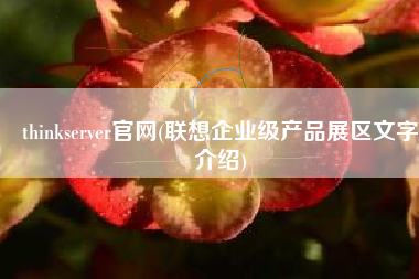 thinkserver官网(联想企业级产品展区文字介绍)