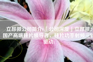 立昂微公司简介(「公司深度」立昂微：国产高端硅片领导者，硅片功率射频三轮驱动)