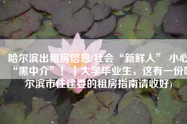 哈尔滨出租房信息(社会“新鲜人” 小心“黑中介”！｜大学毕业生，这有一份哈尔滨市住建委的租房指南请收好)