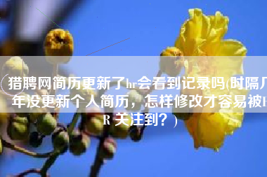 猎聘网简历更新了hr会看到记录吗(时隔几年没更新个人简历，怎样修改才容易被HR 关注到？)