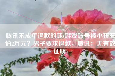 腾讯未成年退款的钱(游戏账号被小孩充值2万元？男子要求退款，腾讯：无有效证明)